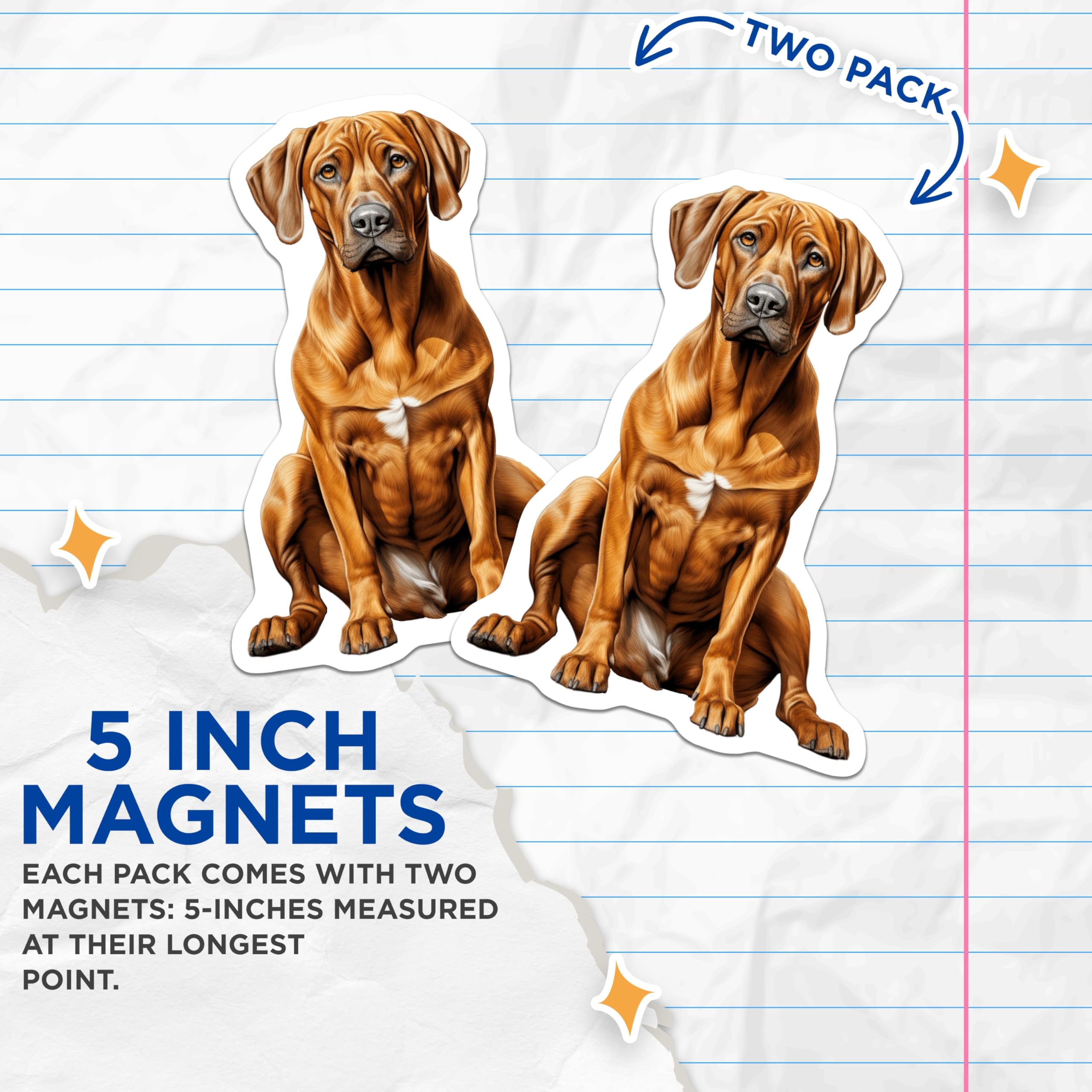 (2 Pack) Rhodesian Ridgeback Magnets - Dog Mom Decor - Pet Owner Present - Animal Art Collection - 5 Inches On Longest Side - Thick Durable Magnet - Made in USA - MAG28867