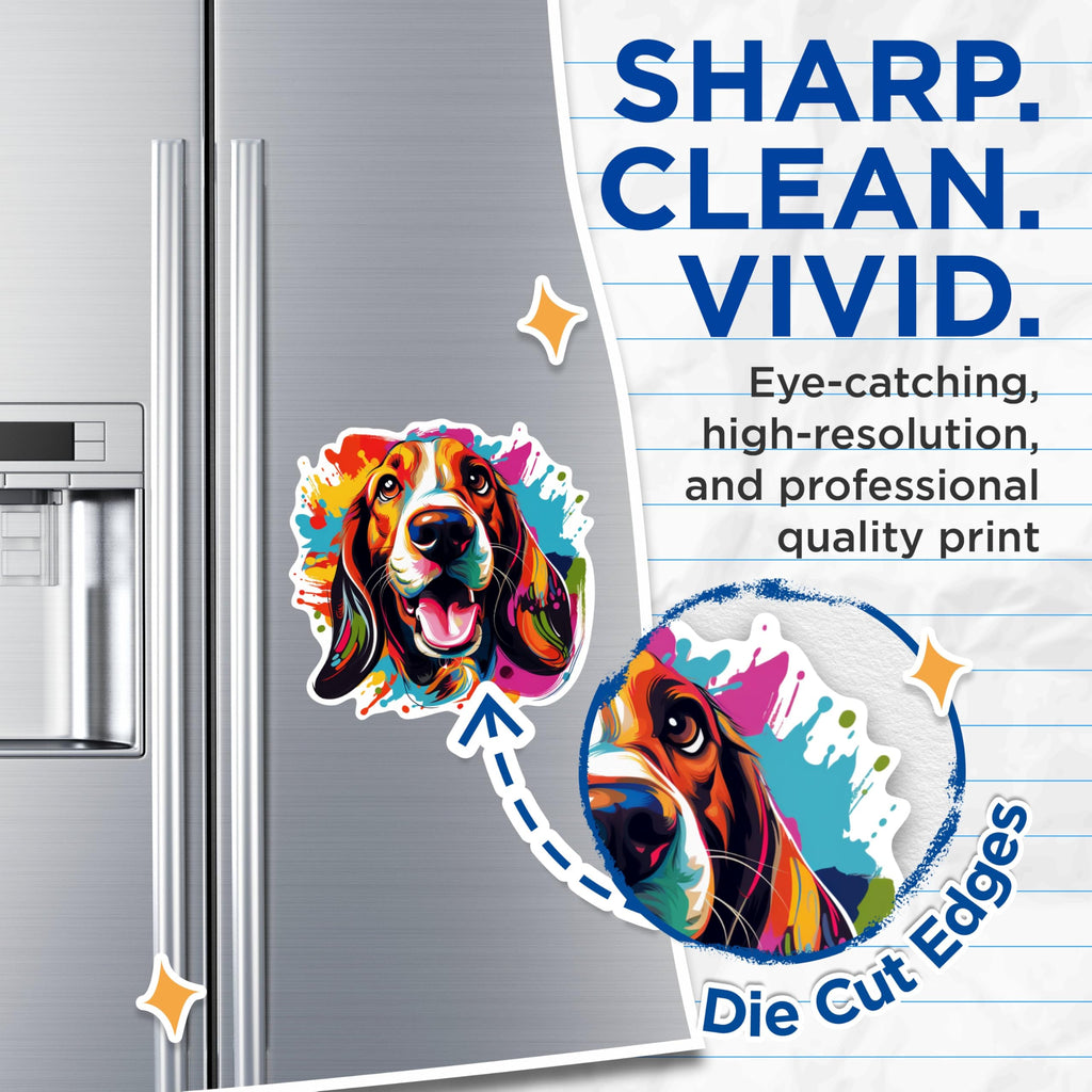 (2 Pack) Basset Hound Dog Breed Magnets - 5 Inches On Longest Side - Choose from Over 100 Dog Breeds - for Cars, Refrigerators, Toolboxes - Made in USA - MAG1765