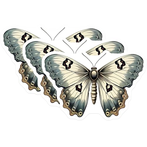 (3 Pack) Butterfly Decals - Insect Stickers - Laptop Decal - Vintage Style - 3 Inches On Longest Side - Easy Peel & Apply - Made in USA - 3MCS2169