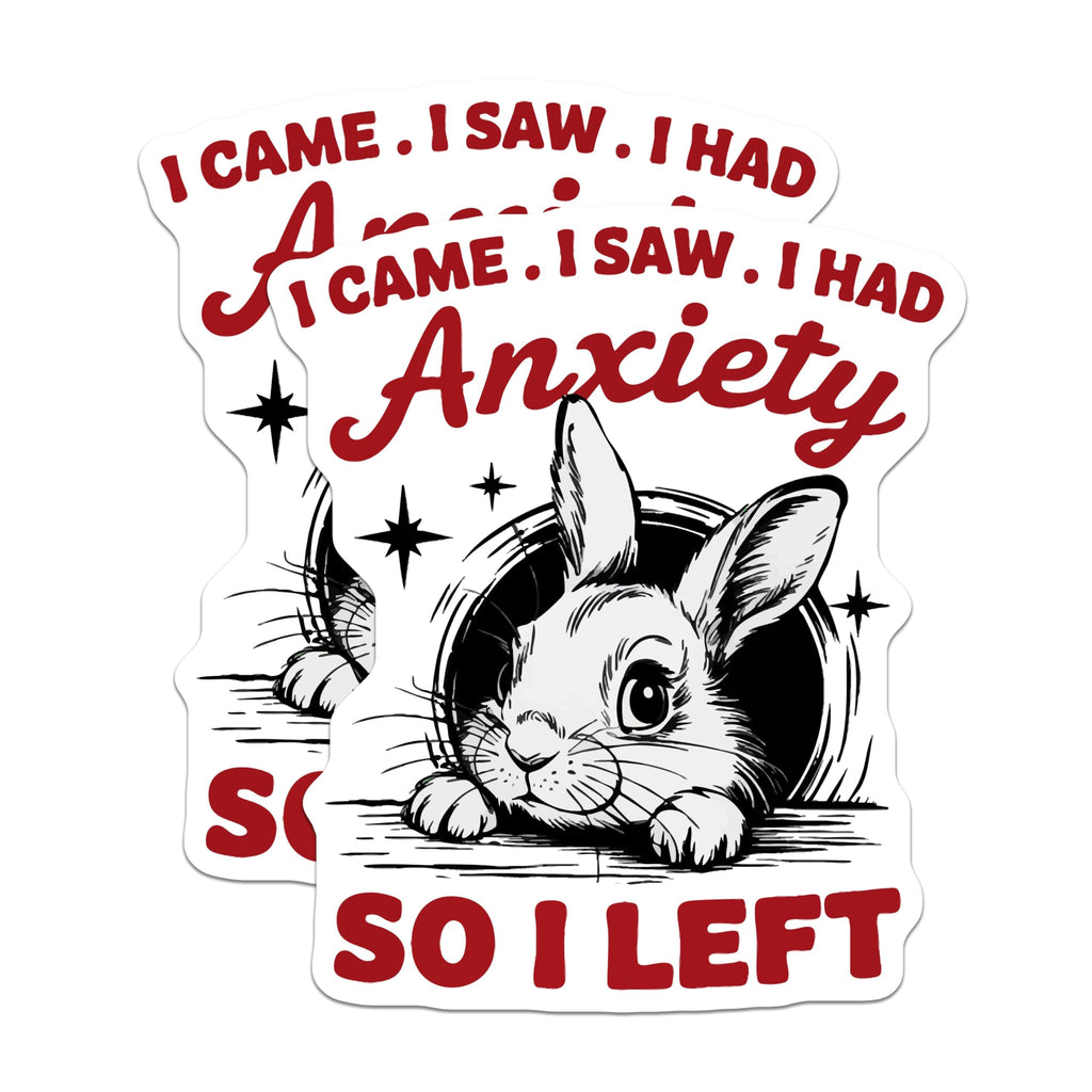 (2 Pack) Funny Bunny Magnets - Social Anxiety Meme - I Came I Saw I Had Anxiety So I Left Quote - 5 Inches On Longest Side - Thick Durable Magnet - Made in USA - MAG20827