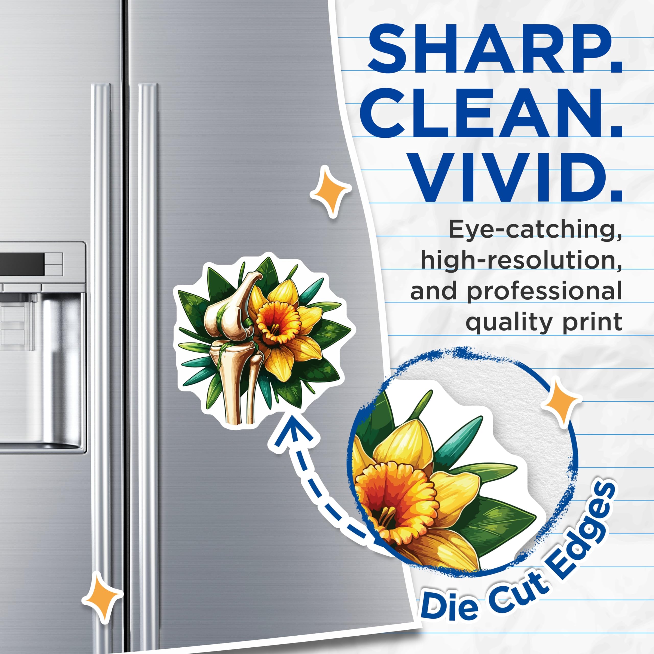 (2 Pack) Human Knee Bone Magnets - Detailed Anatomical Daffodil Flower Art - Orthopedic Science Medical Refrigerator Decor - 5 Inches On Longest Side - Thick Durable Magnet - Made in USA - MAG19549