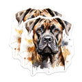 (2 Pack) Brindle Mastiff Magnets - Watercolor Dog Art - Cane Corso Bullmastiff Owner Accent - 5 Inches On Longest Side - Thick Durable Magnet - Made in USA - MAG29107