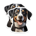 (2 Pack) Entlebucher Mountain Dog Magnets - Happy Canine Decor - Swiss Dog Breed Art - Pet Lover Refrigerator Accessory - 5 Inches On Longest Side - Thick Durable Magnet - Made in USA - MAG24997