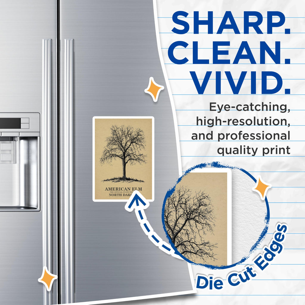 (2 Pack) American Elm Magnets - North Dakota State Tree - Nature Tree Magnets - 5" On Longest Side - Premium Magnet - for Cars, Refrigerators, Toolboxes, Lockers - Made in USA - MAG17356