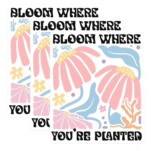 (3 Pack) Bloom Where Youre Planted Decals - Floral Laptop Stickers - Positive Vibes Decals - 3 Inches On Longest Side - Easy Peel & Apply - Made in USA - 3MCS2610