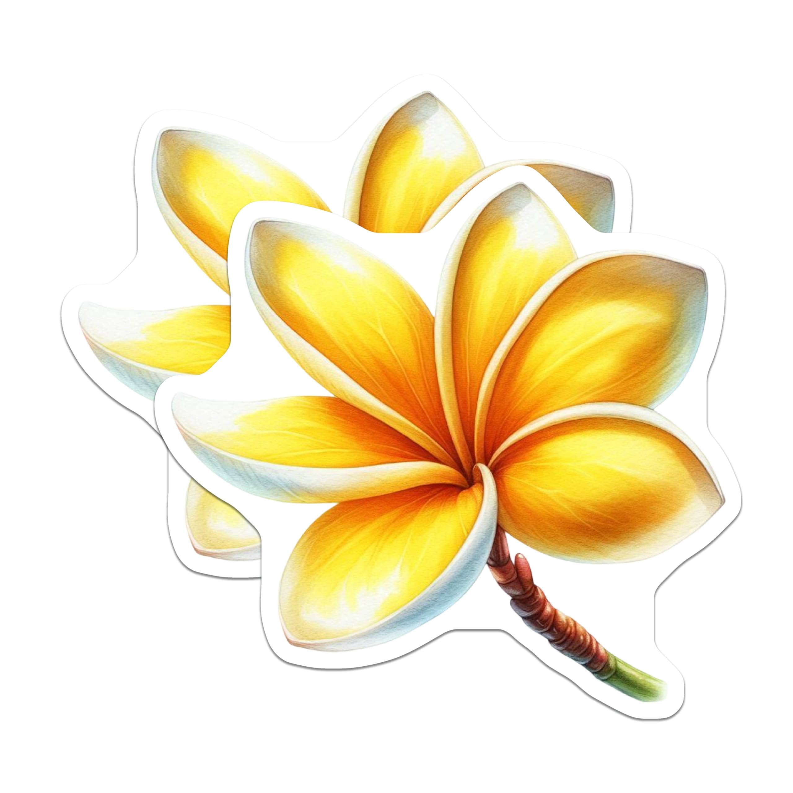 (2 Pack) Yellow Plumeria Flower Magnets - Vibrant Tropical Bloom Home Decor - Hawaiian Aesthetic Refrigerator Art - 5 Inches On Longest Side - Thick Durable Magnet - Made in USA - MAG22505