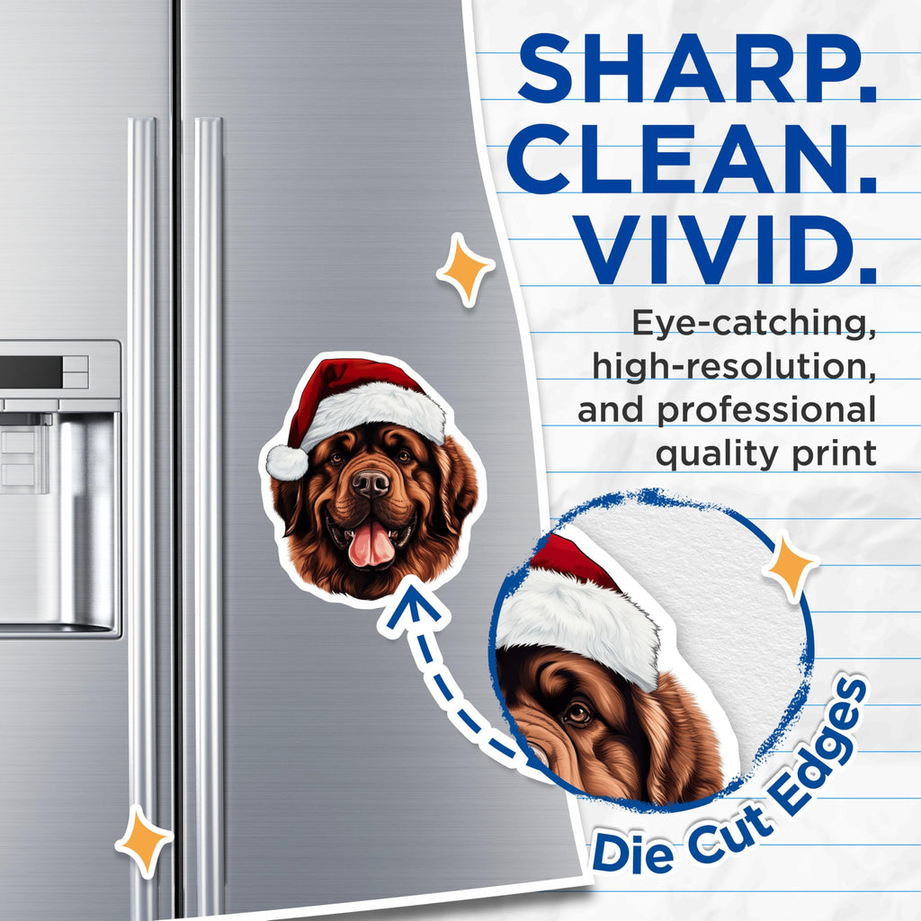(2 Pack) Newfoundland Dog Magnets - Christmas Santa Hat Pet Decor - Large Breed Animal Fridge Magnets - 5 Inches On Longest Side - Thick Durable Magnet - Made in USA - MAG27559