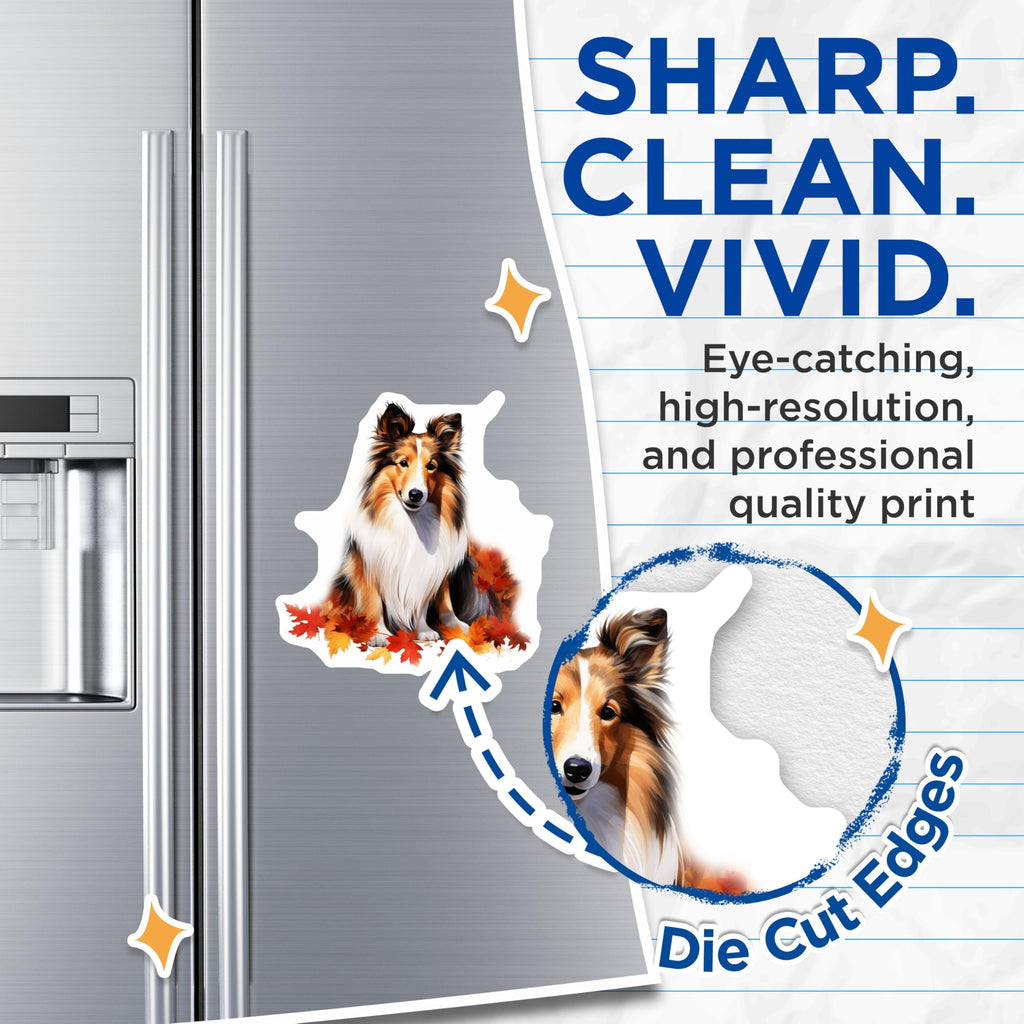 (2 Pack) Sheltie Dog Magnets - Autumn Leaves Decor - Shetland Sheepdog Fall Art - 5 Inches On Longest Side - Thick Durable Magnet - Made in USA - MAG23559