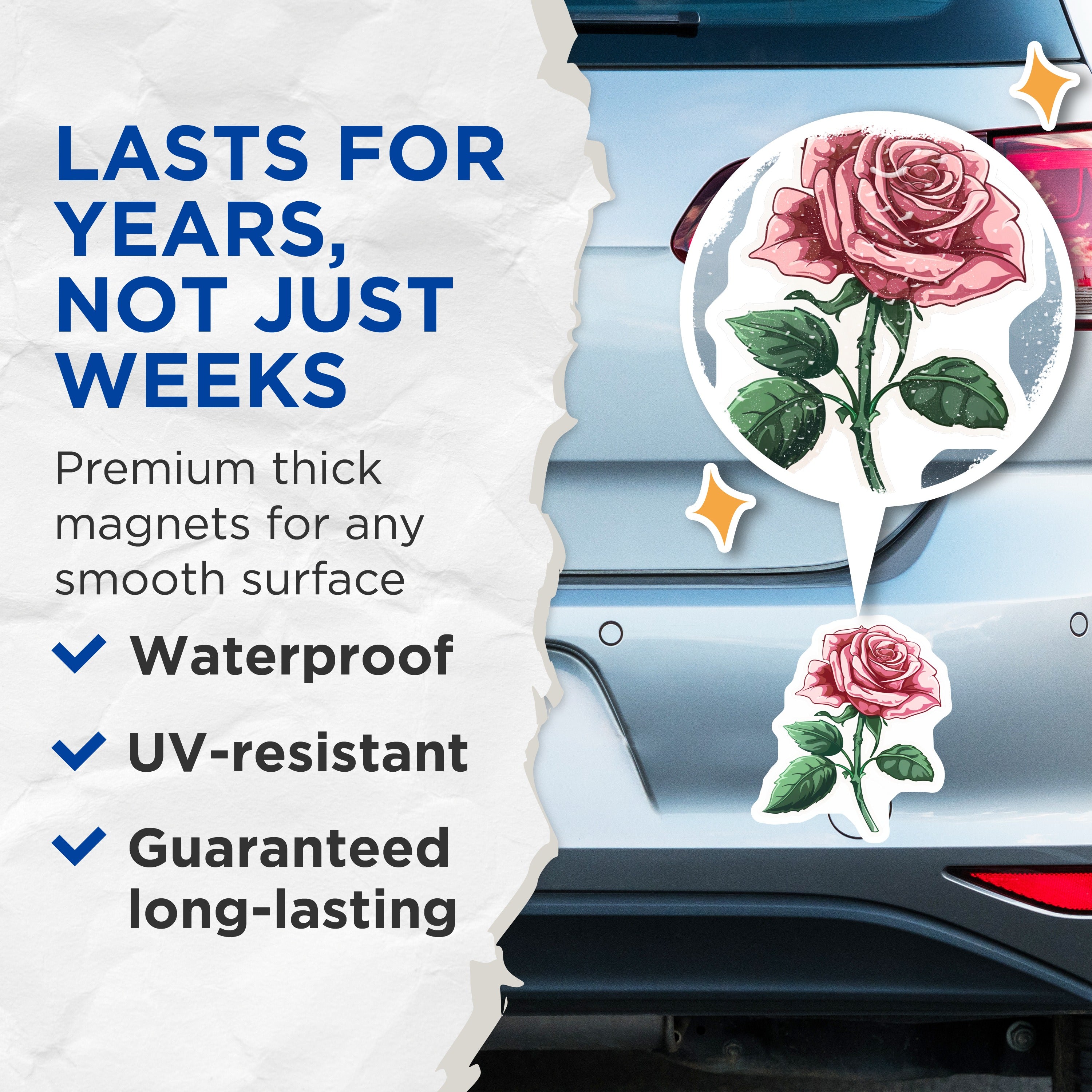 (2 Pack) Pink Rose Magnets - Floral Decor - Romantic Botanical Art - 5 Inches On Longest Side - Thick Durable Magnet - Made in USA - MAG39958
