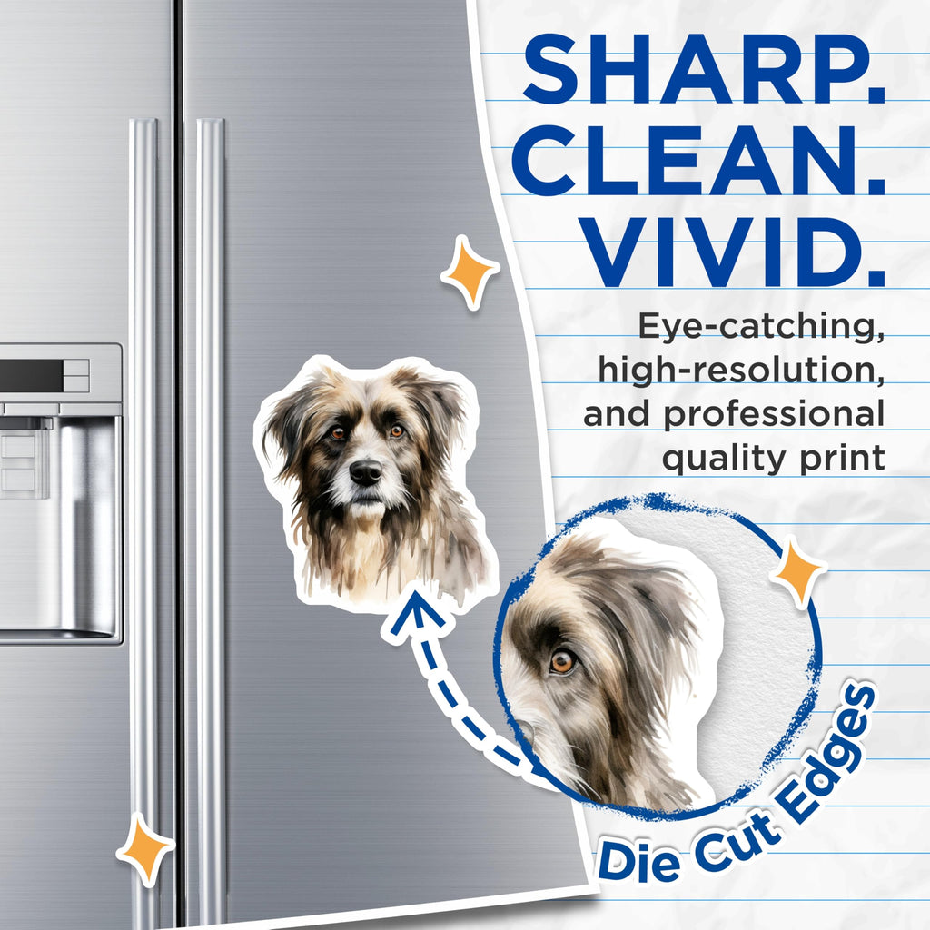 (2 Pack) Watercolor Dog Magnets - Shaggy Puppy Art - Pet Lover Kitchen Decor - Dog Mom Dad Present - Fridge Locker Magnet - 5 Inches On Longest Side - Thick Durable Magnet - Made in USA - MAG28686