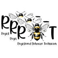 (3 Pack) RBT Bee Decals - Registered Behavior Technician Decal - Behavior Therapy Decal - 3 Inches On Longest Side - Easy Peel & Apply - Made in USA - 3MCS1946
