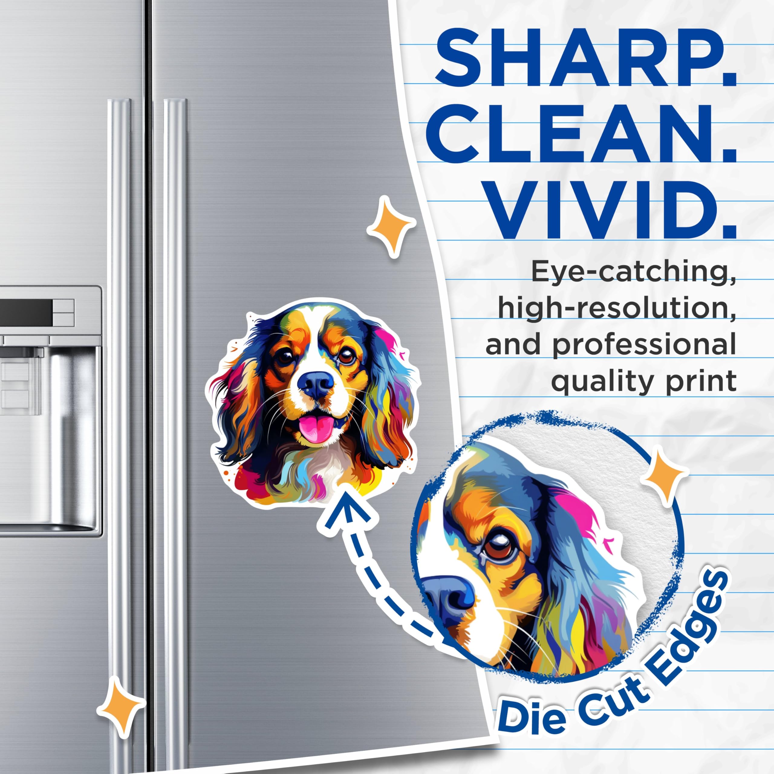 (2 Pack) Cavalier King Charles Spaniel Dog Breed Magnets - 5 Inches On Longest Side - Choose from Over 100 Dog Breeds - for Cars, Refrigerators, Toolboxes - Made in USA - MAG1818