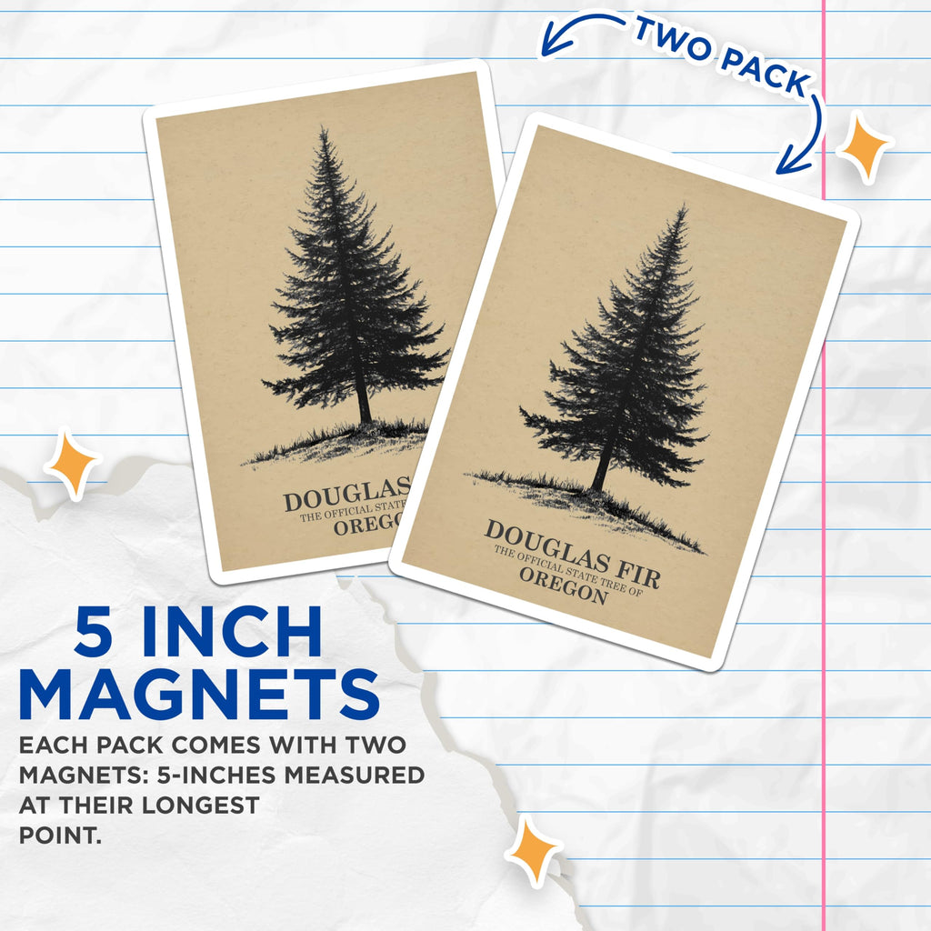 (2 Pack) Douglas Fir Magnets - Oregon State Tree - Botanical Art Magnets - 5" On Longest Side - Premium Magnet - for Cars, Refrigerators, Toolboxes, Lockers - Made in USA - MAG18228