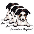 (3 Pack) Australian Shepherd Decals - Dog Breed Stickers - Laptop Decals - 3 Inches On Longest Side - Easy Peel & Apply - Made in USA - 3MCS2999