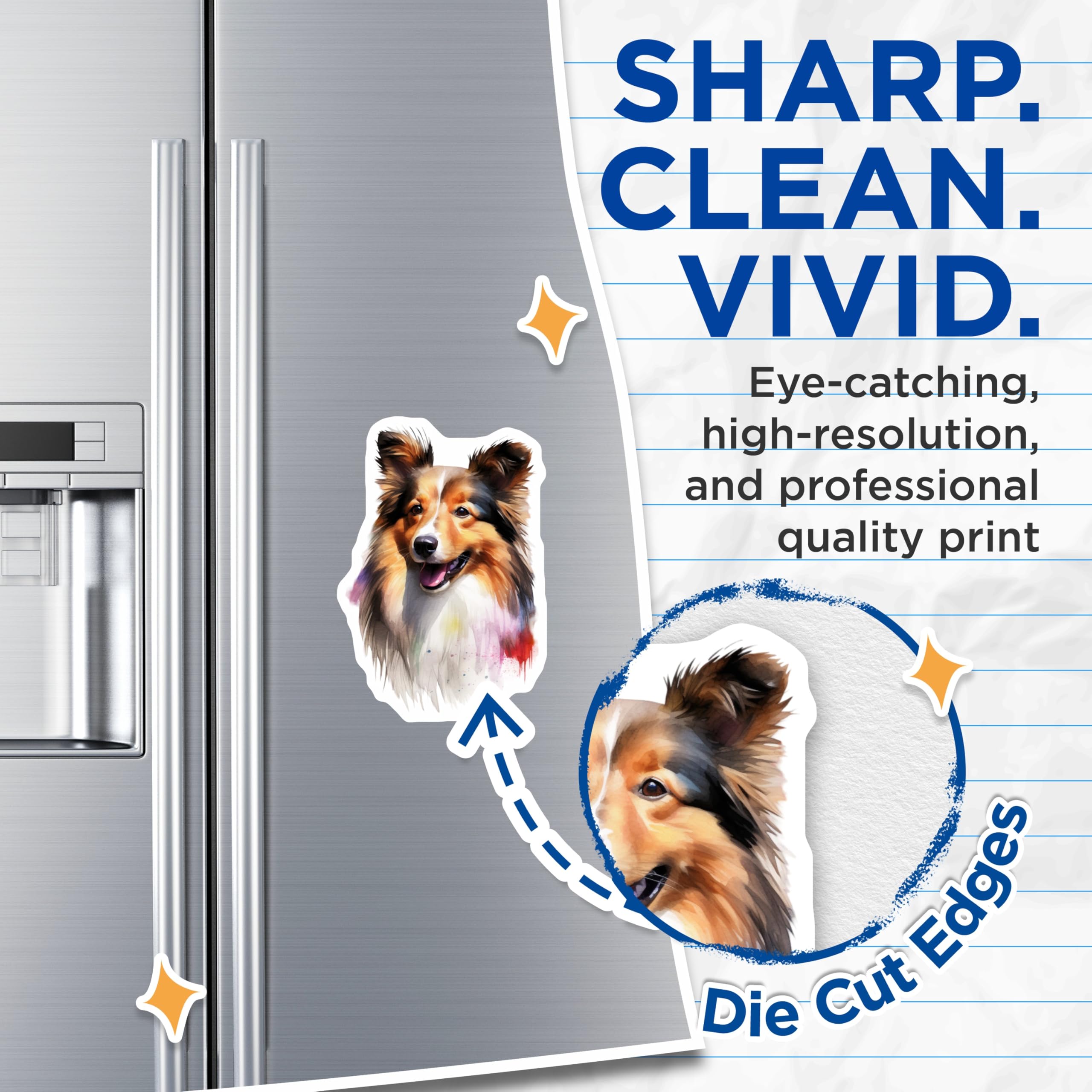 (2 Pack) Sheltie Dog Magnets - Watercolor Shetland Sheepdog Art - Happy Collie Pet Lover Fridge Display - 5 Inches On Longest Side - Thick Durable Magnet - Made in USA - MAG23284