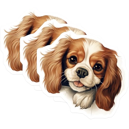 (3 Pack) Cavalier Spaniel Decals - Cute Dog Laptop Stickers - Pet Lover Decor - 3 Inches On Longest Side - Easy Peel & Apply - Made in USA - 3MCS8689