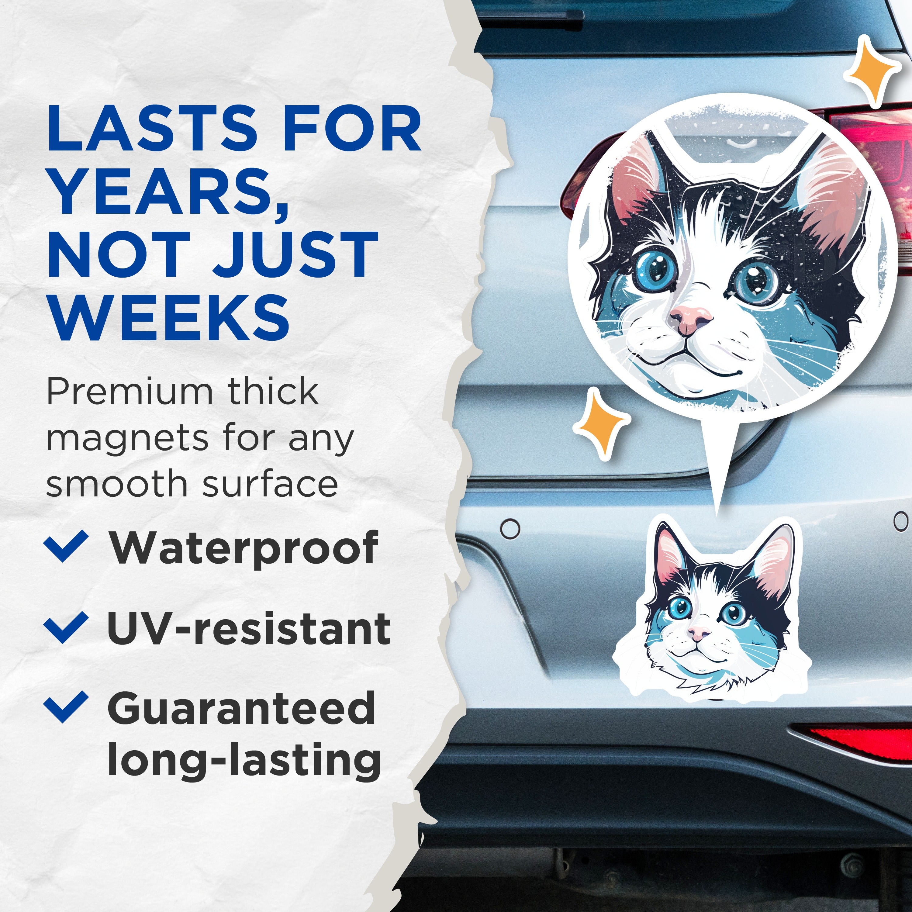 (2 Pack) Cute Blue Eyed Cat Magnets - Adorable Kitten Refrigerator Decor - Pet Lover Animal Art - 5 Inches On Longest Side - Thick Durable Magnet - Made in USA - MAG39937