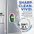 (2 Pack) Cactus Cartoon Magnets - Funny Cactus Quote Decor - Cute Kitchen Fridge Accessories - 5" On Longest Side - for Cars, Fridges, Toolboxes - Made in USA - MAG5594