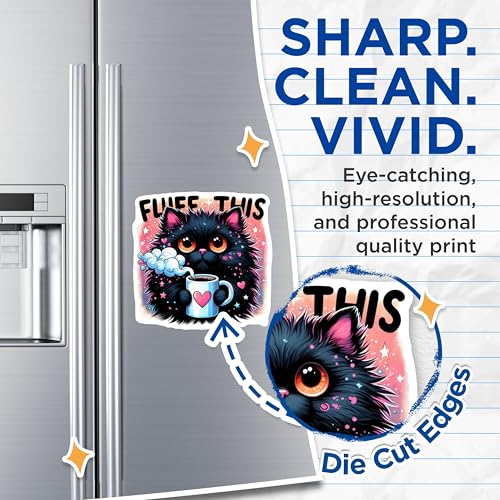 (2 Pack) Fluff This Cat Magnets - Cute Cat Art - Funny Coffee Magnet - Whimsical Kitchen - 5" On Longest Side - for Cars, Fridges, Toolboxes - Made in USA - MAG4590