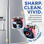 (2 Pack) Fluff This Cat Magnets - Cute Cat Art - Funny Coffee Magnet - Whimsical Kitchen - 5" On Longest Side - for Cars, Fridges, Toolboxes - Made in USA - MAG4590