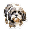 (2 Pack) Shih Tzu Dog Magnets - Watercolor Pet Portrait - Dog Mom Refrigerator Locker Art - 5 Inches On Longest Side - Thick Durable Magnet - Made in USA - MAG25491