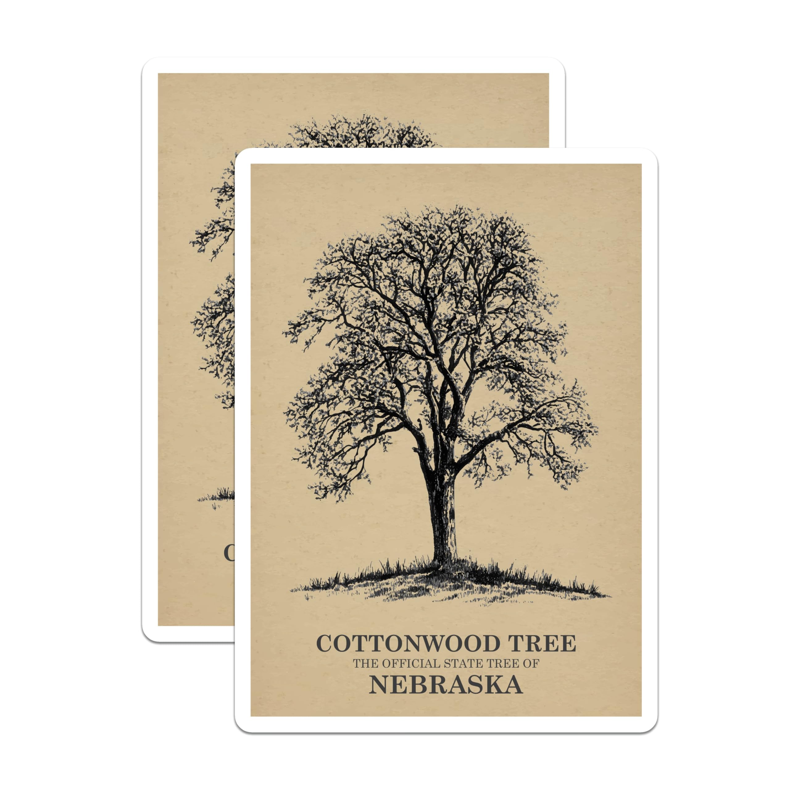 (2 Pack) Cottonwood Tree Magnets - Nebraska State Tree - Botanical Art Decor - 5 Inches On Longest Side - Thick Durable Magnet - Made in USA - MAG19388