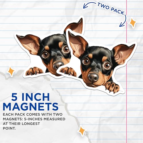 (2 Pack) Pet Lover Home Decor Magnet - 5" On Longest Side - Sticks to Smooth Flat Surfaces - Made in USA - MAG10223