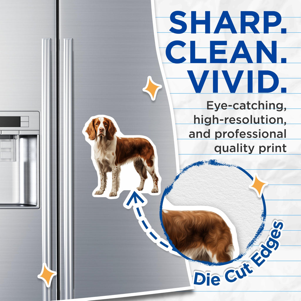 (2 Pack) Welsh Springer Spaniel Magnets - Dog Lover Refrigerator Decor - Pet Owner Kitchen Art - 5 Inches On Longest Side - Thick Durable Magnet - Made in USA - MAG26211