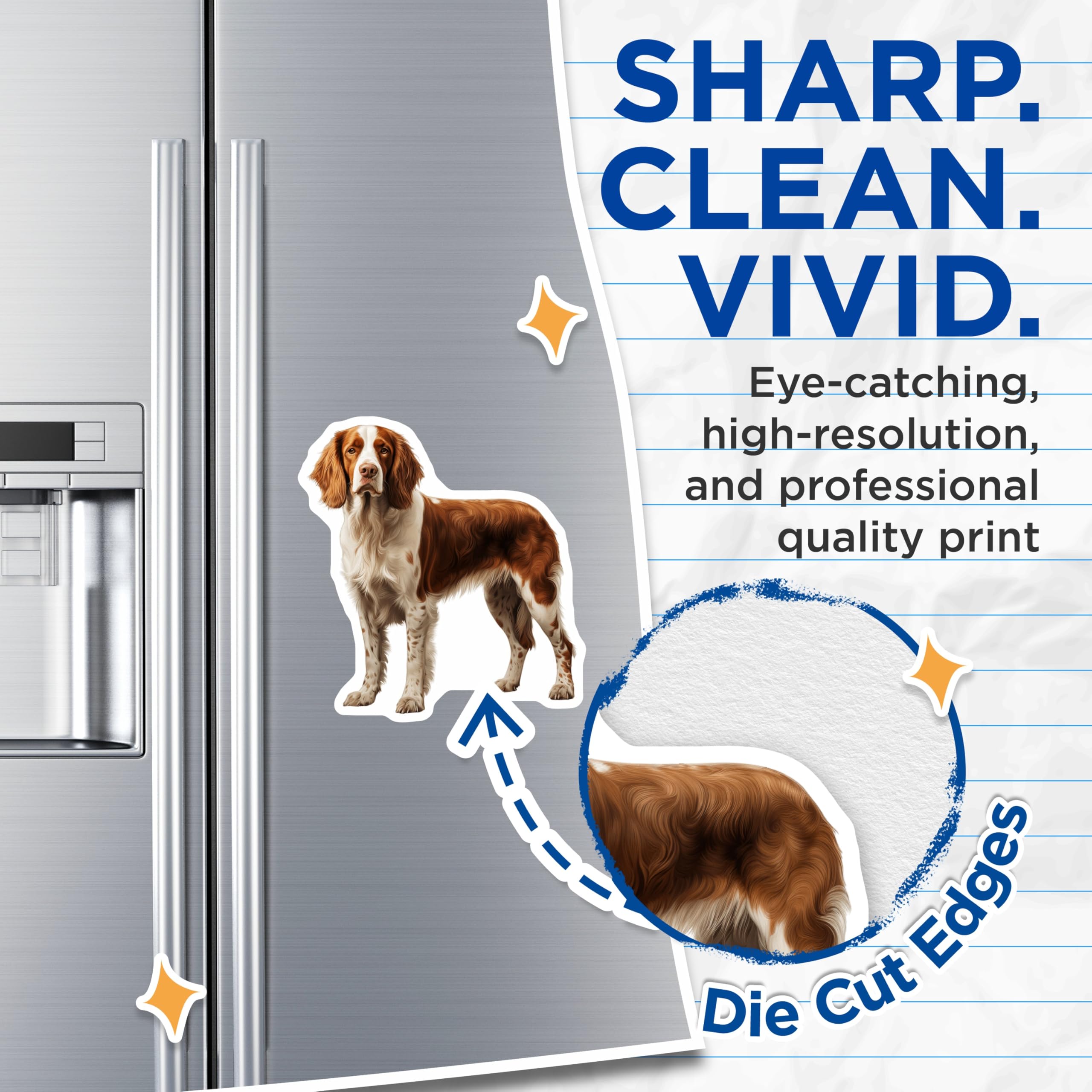 (2 Pack) Welsh Springer Spaniel Magnets - Dog Lover Refrigerator Decor - Pet Owner Kitchen Art - 5 Inches On Longest Side - Thick Durable Magnet - Made in USA - MAG26211