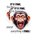 (2 Pack) Its Fine Magnets - Funny Monkey - Everything is Fine Magnets - 5" On Longest Side - Premium Magnet - for Cars, Refrigerators, Toolboxes, Lockers - Made in USA - MAG15113