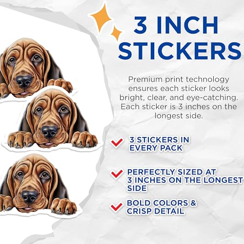 (3 Pack) Bloodhound Dog Decals - Cute Puppy Stickers - Pet Lover Decals - 3 Inches On Longest Side - Easy Peel & Apply - Made in USA - 3MCS8638
