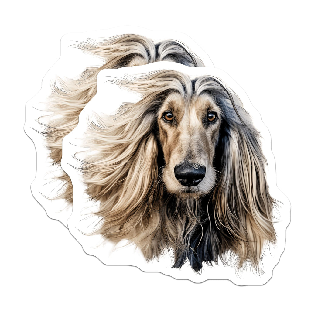 (2 Pack) Afghan Hound Dog Magnets - Elegant Pet Portrait - Dog Lover Home Decor - 5 Inches On Longest Side - Thick Durable Magnet - Made in USA - MAG27689