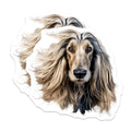 (2 Pack) Afghan Hound Dog Magnets - Elegant Pet Portrait - Dog Lover Home Decor - 5 Inches On Longest Side - Thick Durable Magnet - Made in USA - MAG27689