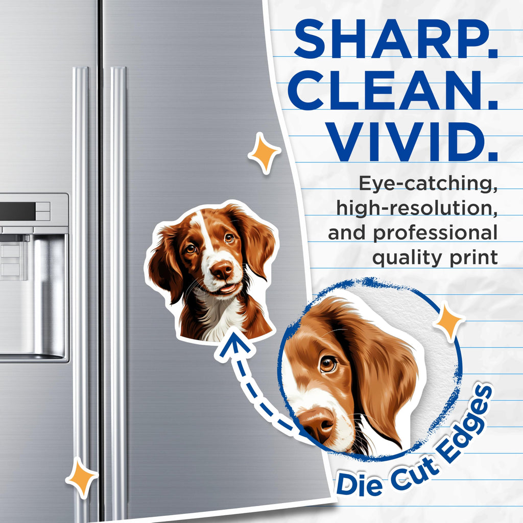 (2 Pack) Brittany Spaniel Dog Magnets - Cute Pet Lover Refrigerator Decor - Spaniel Mom Truck Accessories - 5 Inches On Longest Side - Thick Durable Magnet - Made in USA - MAG29592