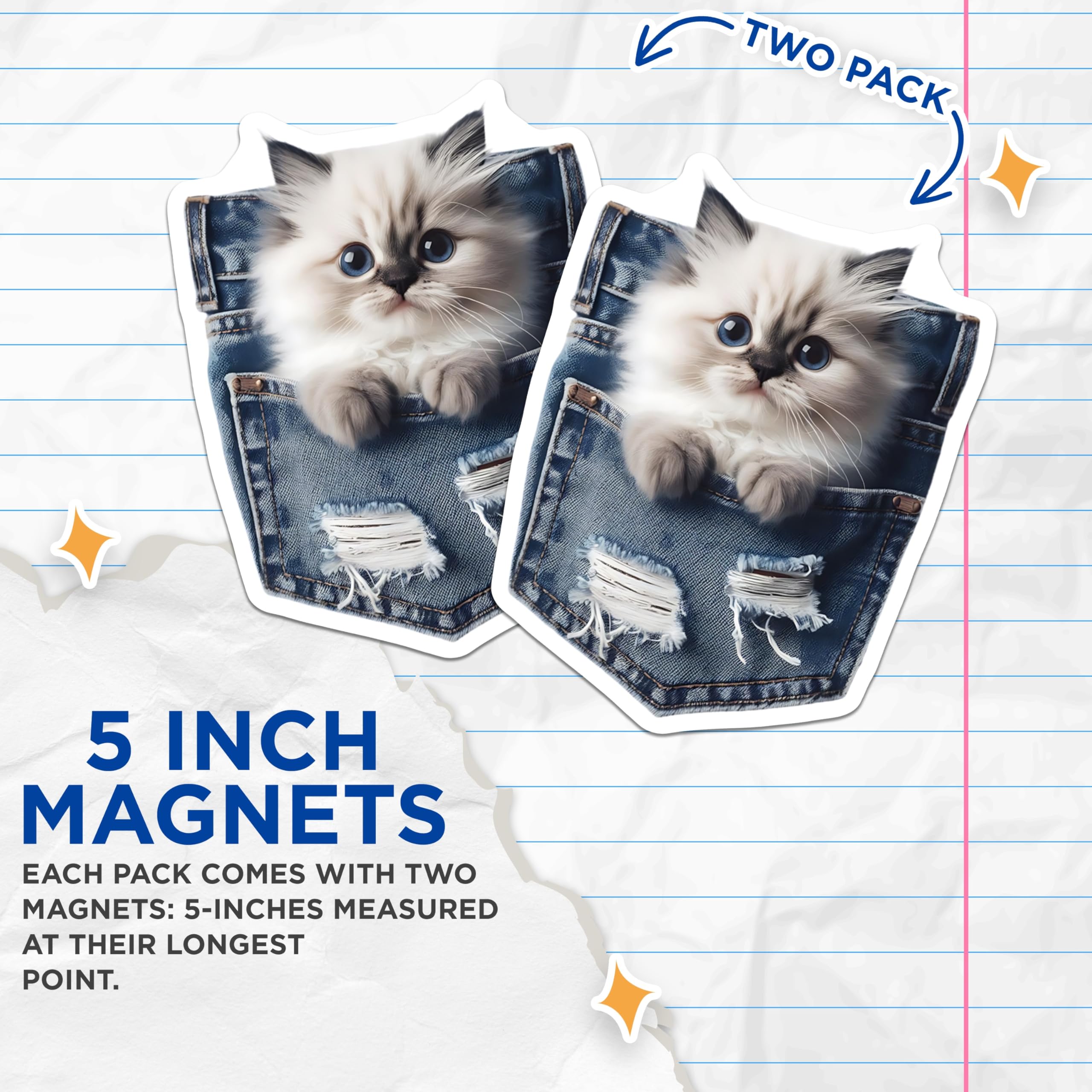 (2 Pack) Pocket Cat Magnets - Ragdoll Kitten - Blue Eyes Refrigerator Decor - 5" On Longest Side - Premium Magnet - for Cars, Refrigerators, Toolboxes, Lockers - Made in USA - MAG14985