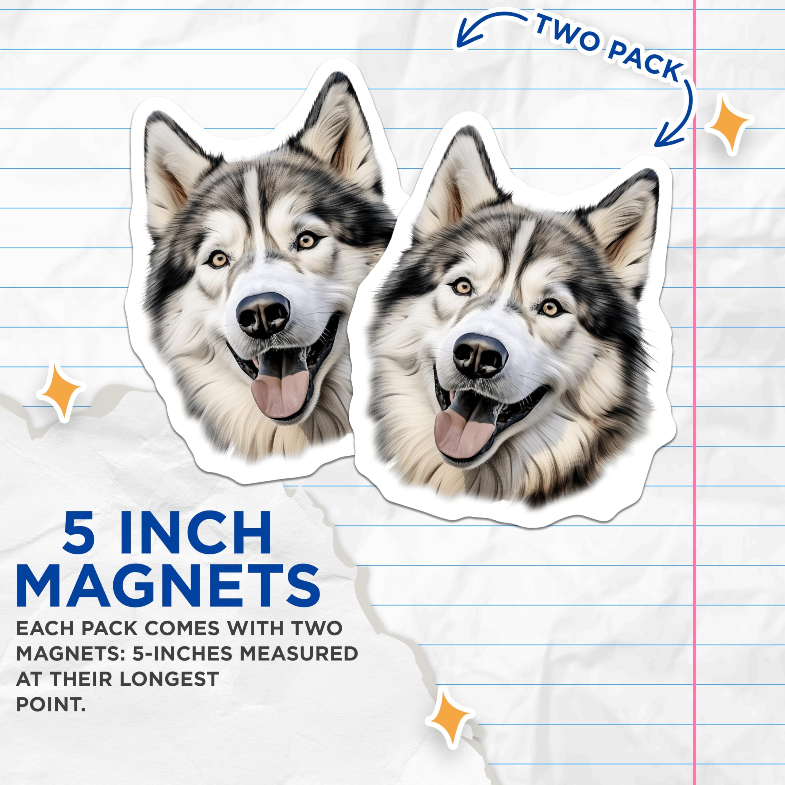 (2 Pack) Husky Dog Magnets - Realistic Canine Portrait - Pet Lover Animal Art - Refrigerator Decor - 5 Inches On Longest Side - Thick Durable Magnet - Made in USA - MAG28152