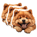 (3 Pack) Chow Chow Dog Decals - Cute Puppy - Laptop Decal - 3 Inches On Longest Side - Easy Peel & Apply - Made in USA - 3MCS8696