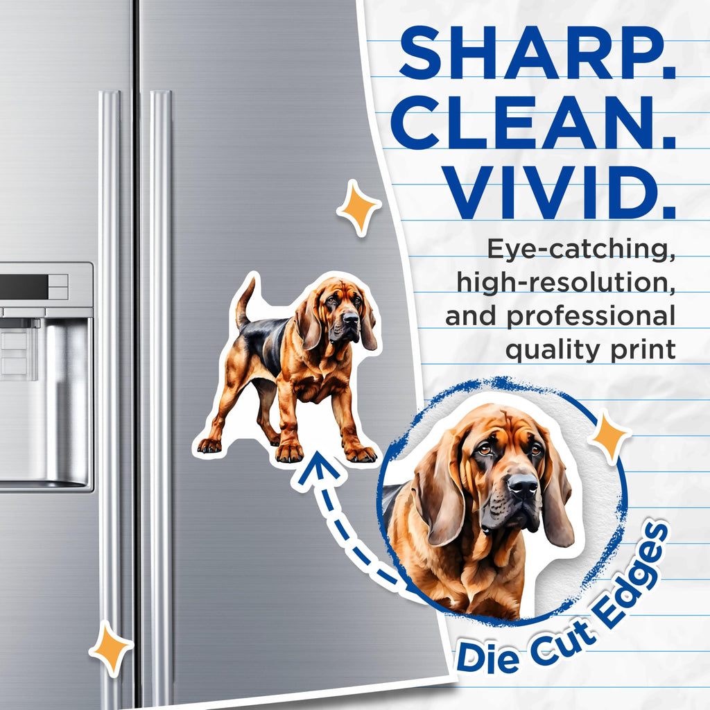 (2 Pack) Bloodhound Magnets - Dog Breed Art - Hound Dog Decor - 5" On Longest Side - Premium Magnet - for Cars, Refrigerators, Toolboxes, Lockers - Made in USA - MAG14637