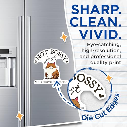(2 Pack) Not Bossy Just Aggressively Helpful Magnets - Cat Lover Fridge - Funny Cat - 5" On Longest Side - for Cars, Refrigerators, Toolboxes, Lockers - Made in USA MAG3539