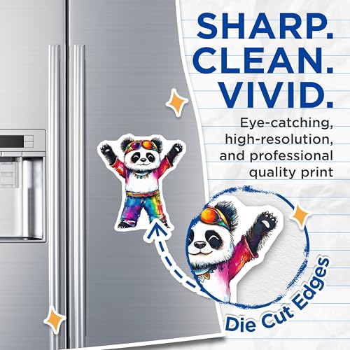 (2 Pack) Colorful Panda Decorations Magnet - 5" On Longest Side - Sticks to Smooth Flat Surfaces - Made in USA - MAG9507