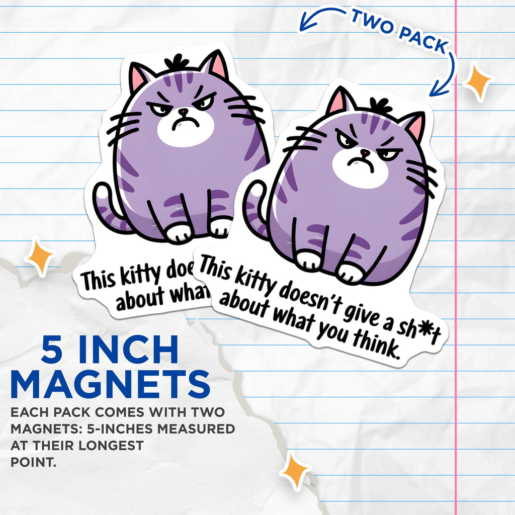 (2 Pack) Grumpy Cat Magnets - Sarcastic Kitten Decor - Dont Care Feline Humor - 5 Inches On Longest Side - Thick Durable Magnet - Made in USA - MAG37244
