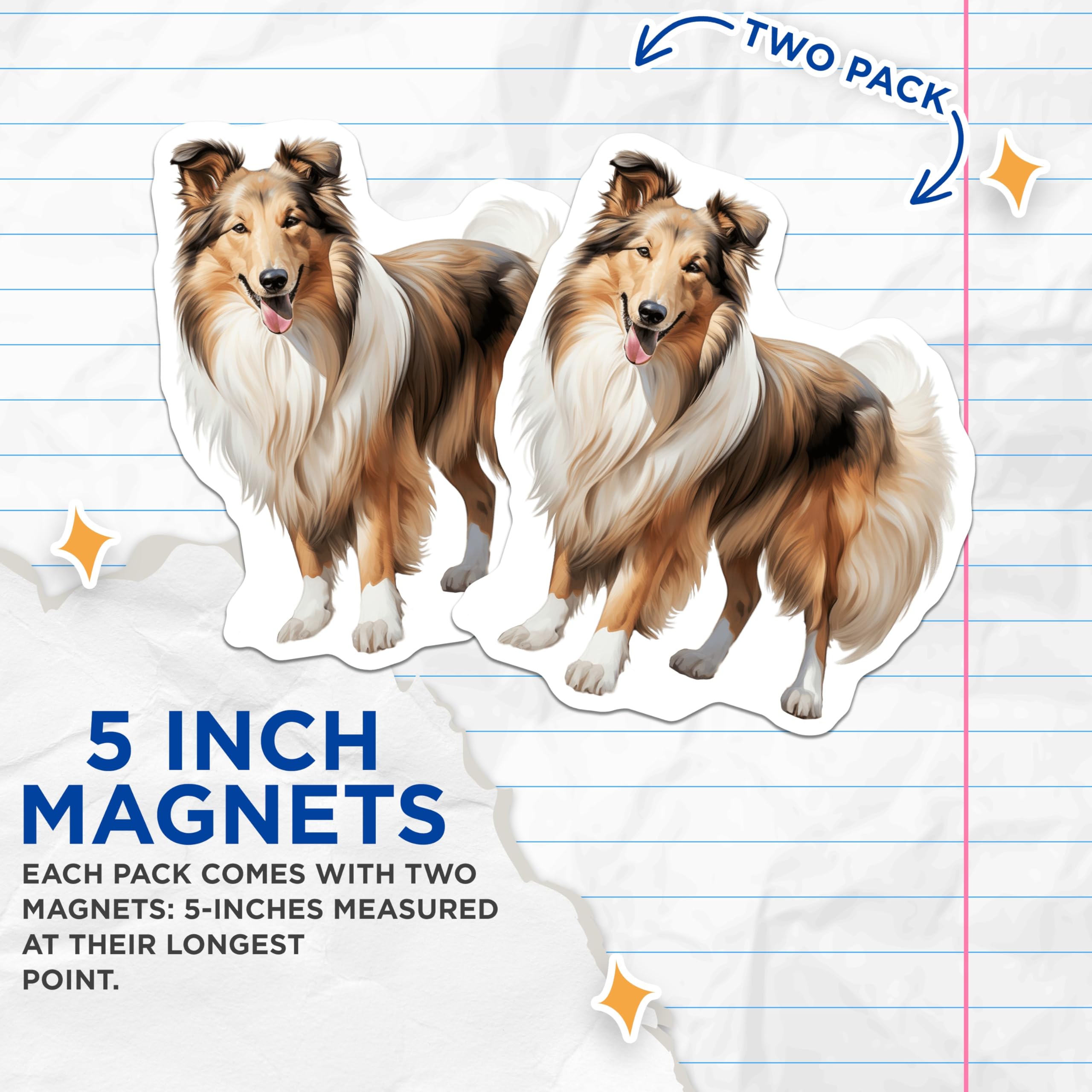 (2 Pack) Rough Collie Magnets - Dog Lover Decor - Pet Breed Collection - 5 Inches On Longest Side - Thick Durable Magnet - Made in USA - MAG27118