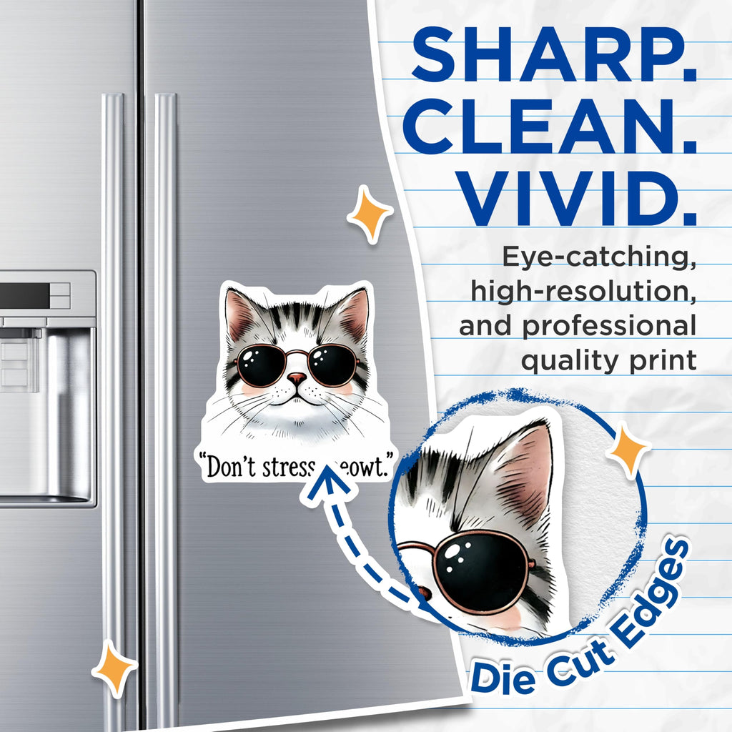 (2 Pack) Funny Cat Magnets - Don't Stress Meowt - Cool Cat Decor for Fridge - 5" On Longest Side - Premium Magnet - for Cars, Refrigerators, Toolboxes, Lockers - Made in USA - MAG15728