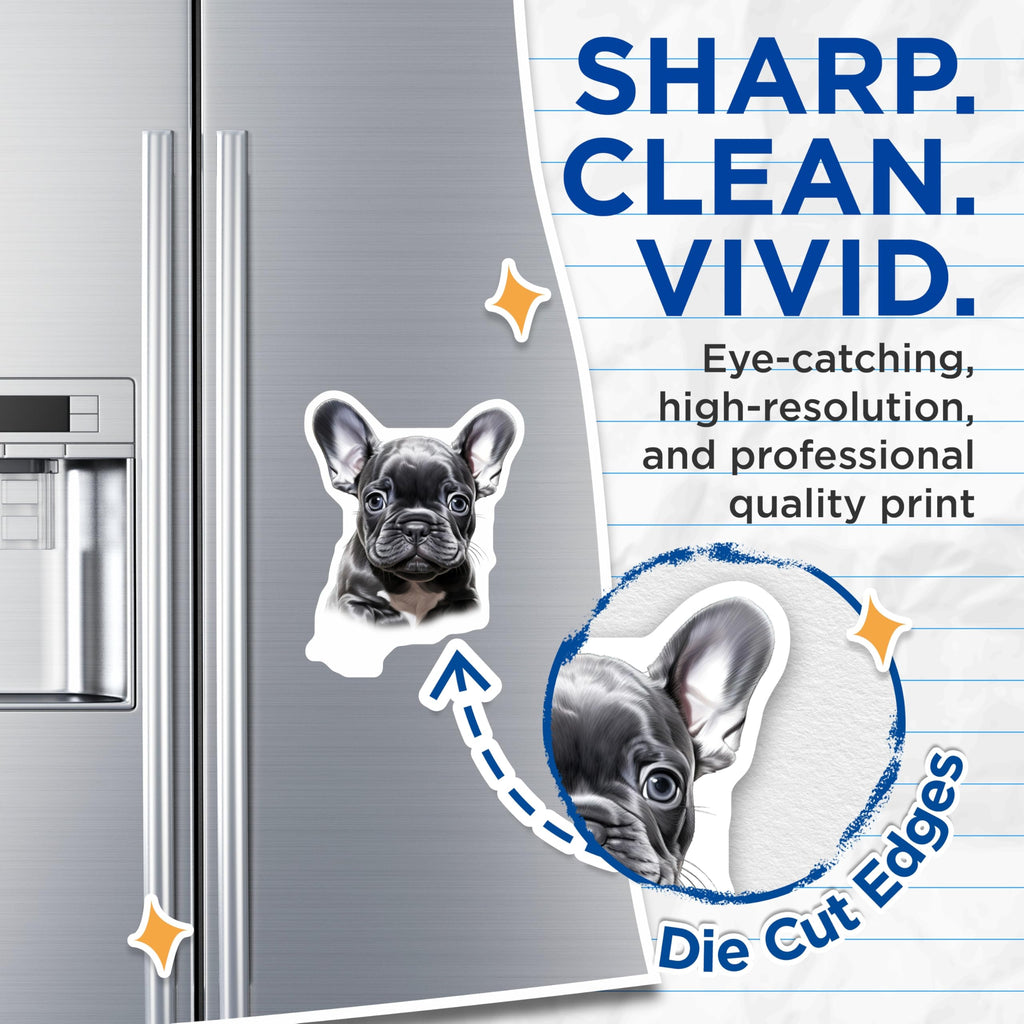 (2 Pack) French Bulldog Puppies Magnets - Cute Dog Refrigerator Magnets - Pet Lover Decor for Dog Owners - 5 Inches On Longest Side - Thick Durable Magnet - Made in USA - MAG30407