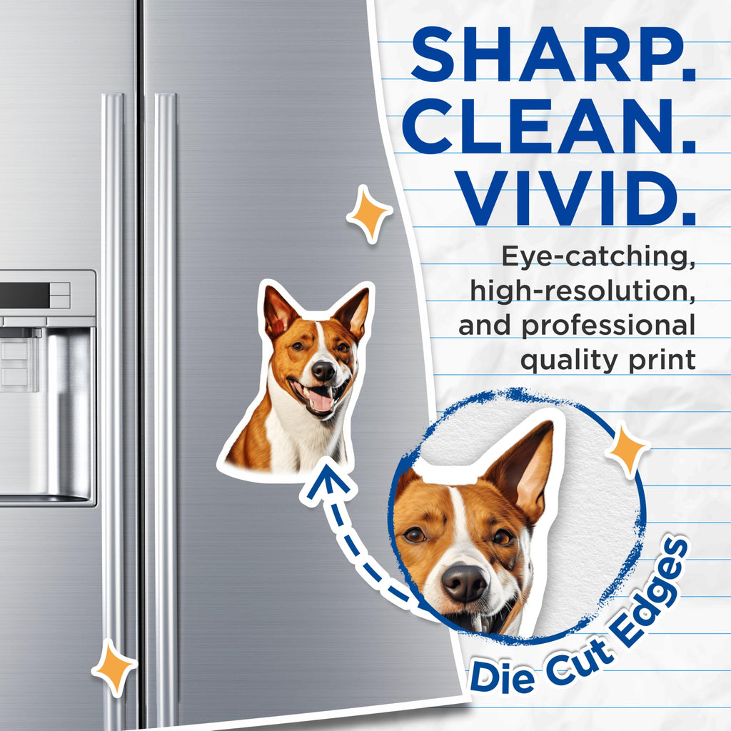(2 Pack) Basenji Dog Magnets - Happy Pet Face Art - Refrigerator Locker Decor for Dog Lovers - 5 Inches On Longest Side - Thick Durable Magnet - Made in USA - MAG29115