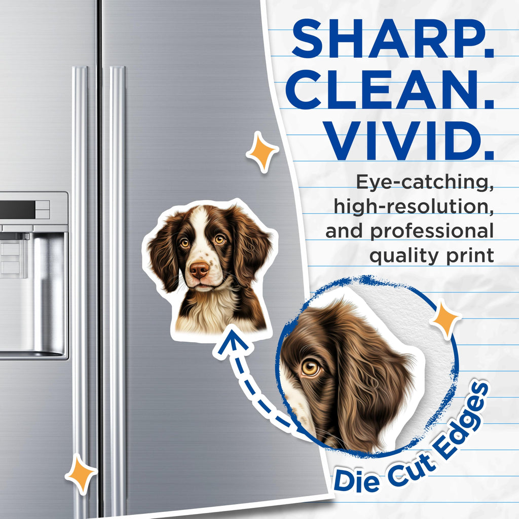 (2 Pack) Springer Spaniel Magnets - Realistic Dog Portrait - Pet Lover Kitchen Decor - 5 Inches On Longest Side - Thick Durable Magnet - Made in USA - MAG27614