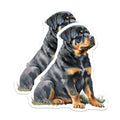 (2 Pack) Rottweiler Dog Magnets - Cute Puppy Decor - Dog Lover Accessories - 5" On Longest Side - Premium Magnet - for Cars, Refrigerators, Toolboxes, Lockers - Made in USA - MAG16440