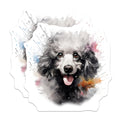 (2 Pack) Poodle Dog Magnets - Watercolor Poodle Art - Dog Mom Decor - 5 Inches On Longest Side - Thick Durable Magnet - Made in USA - MAG29285