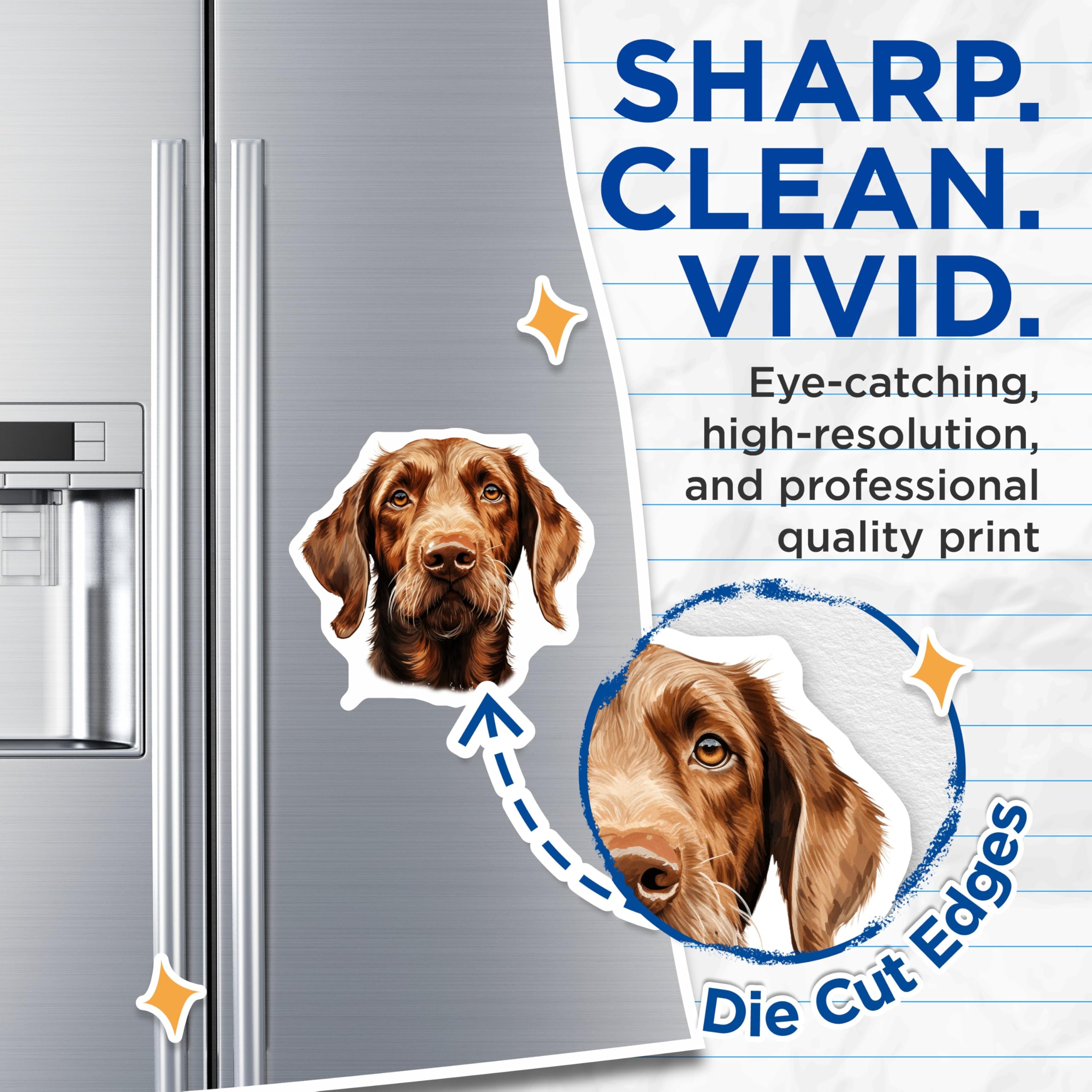 (2 Pack) Vizsla Dog Magnets - Hunting Breed Decor - Pet Owner Refrigerator Art - 5 Inches On Longest Side - Thick Durable Magnet - Made in USA - MAG29145