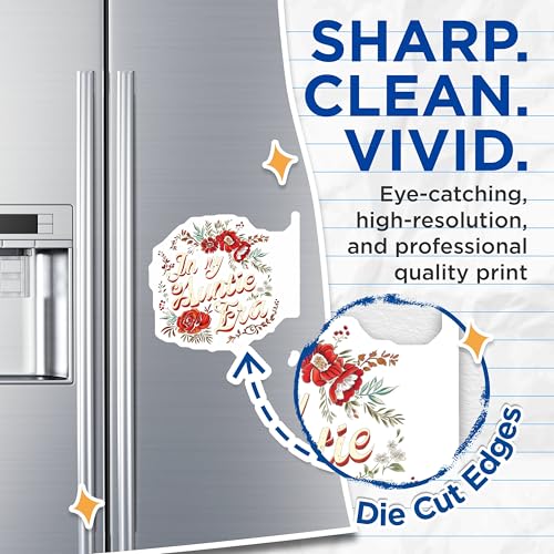 (2 Pack) Auntie Era Magnets - Floral Pattern Magnets - Decorative Quote Magnets - 5" On Longest Side - for Cars, Refrigerators, Toolboxes, Lockers - Made in USA BMCS3507
